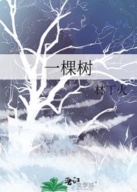 一棵树